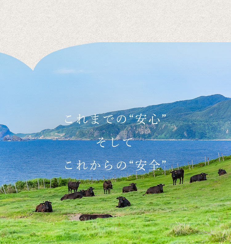 新川の焼肉屋かねちゃん｜札幌の個室で白老牛、テイクアウト・通販も